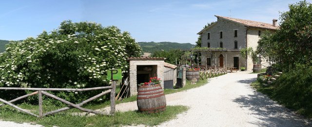 La Balucca